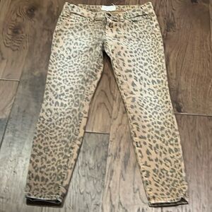 Current Elliott Jeans